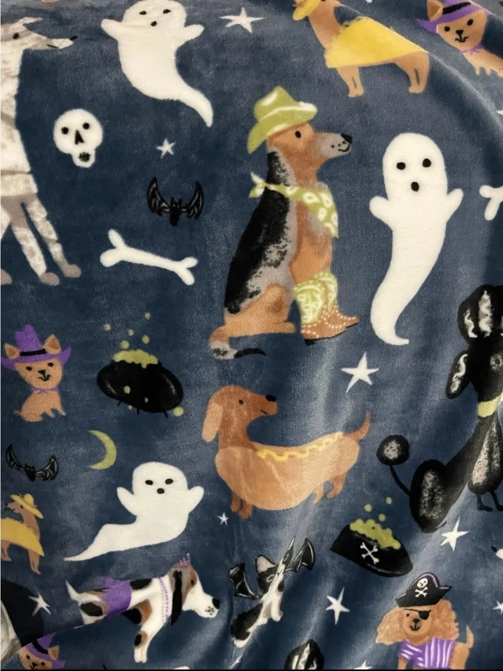 Halloween Well Dressed Home Custumed Dogs Throw - Halloween Dogs Throw